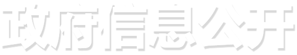 gopay钱包
