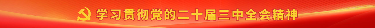 gopay钱包